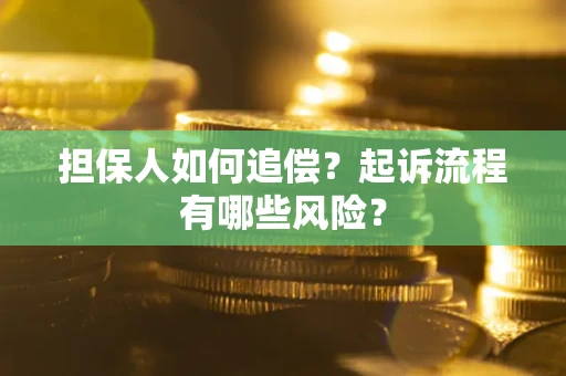 武汉担保人如何追偿？起诉流程有哪些风险？