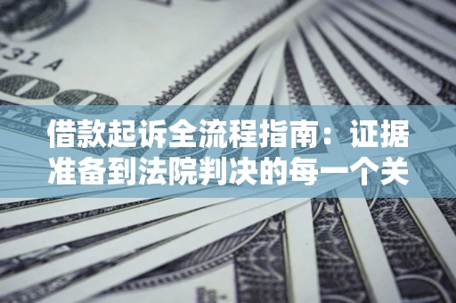 武汉借款起诉全流程指南：证据准备到法院判决的每一个关键步骤