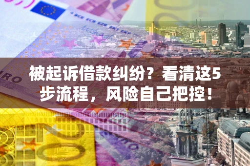 武汉被起诉借款纠纷？看清这5步流程，风险自己把控！
