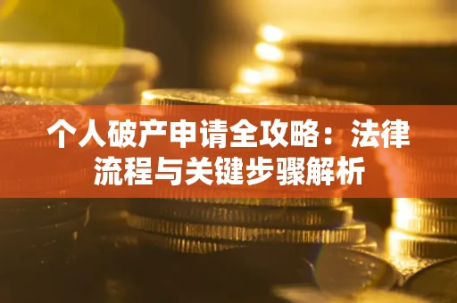武汉个人破产申请全攻略：法律流程与关键步骤解析