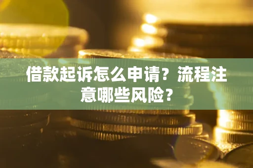 武汉借款起诉怎么申请？流程注意哪些风险？